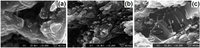 Polymers 04 00889 g001 200