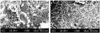 Polymers 04 00889 g006 200