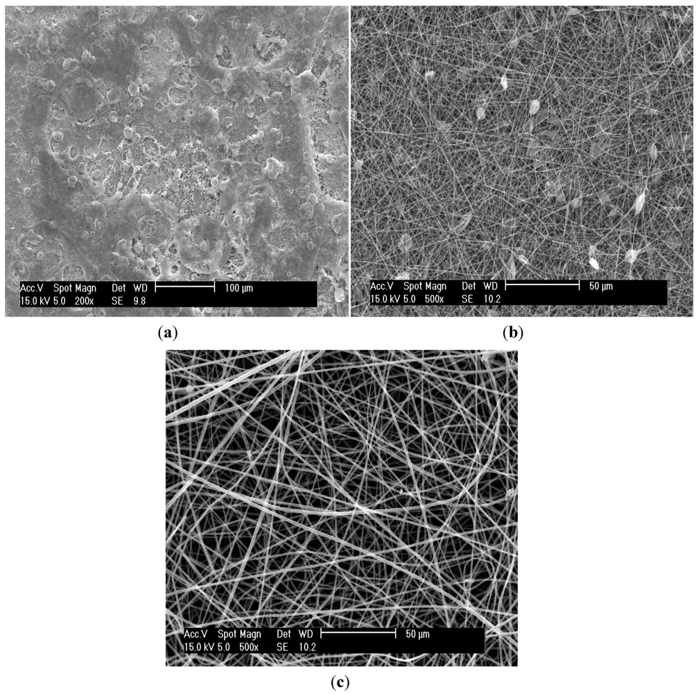 Polymers 04 01331 g002 1024