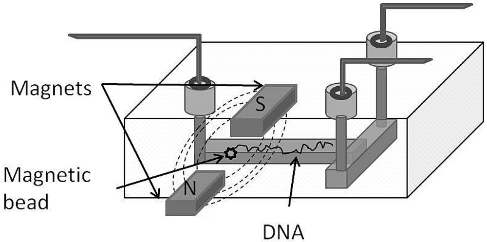 microfluidics thesis microfluidics thesis
