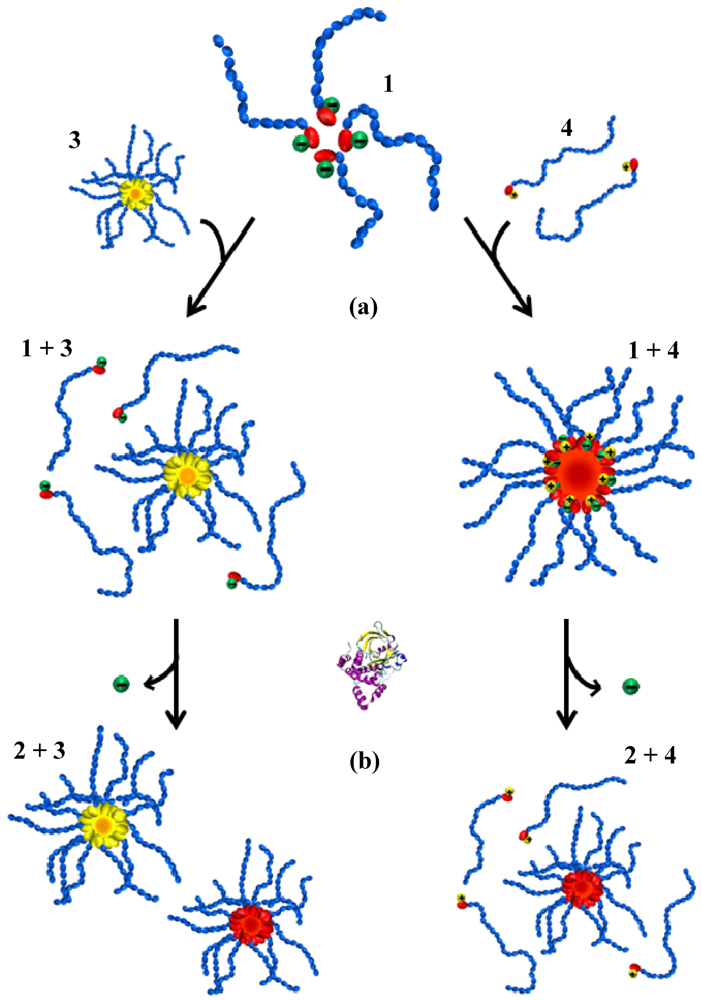 Polymers 04 01399 g005