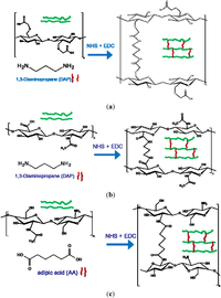 Polymers 04 01517 g001 200