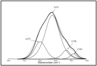Polymers 04 01517 g006 200