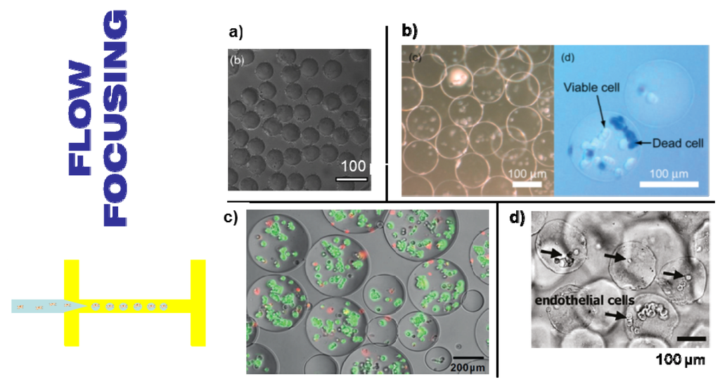Polymers 04 01554 g003 1024