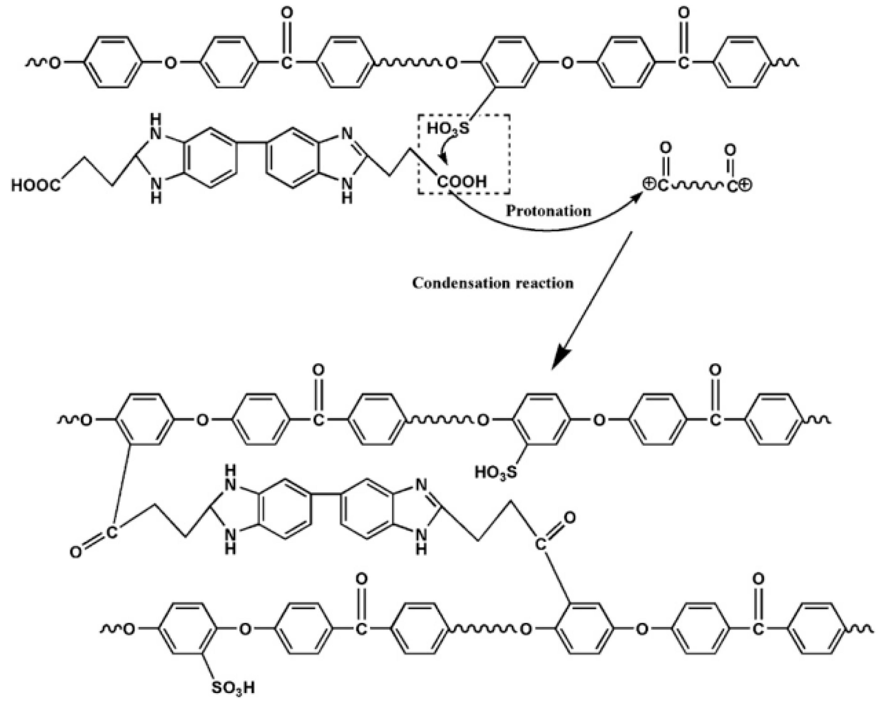 Polymers 04 01627 g012