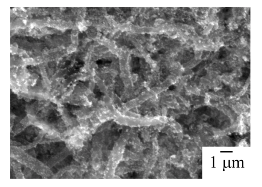 Polymers 04 01645 g003 1024