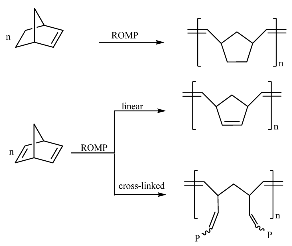 Ring opening metathesis polymerization mechanism