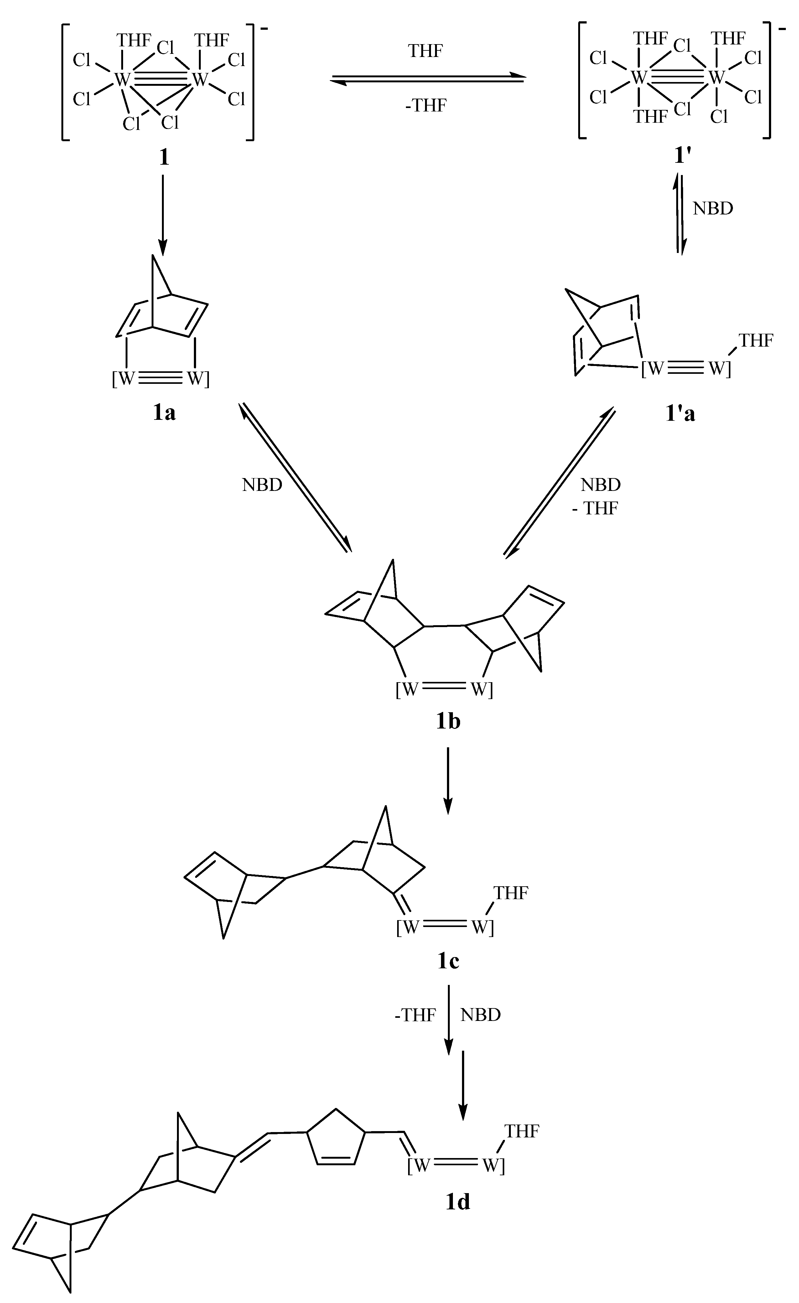 New aryloxybenzylidene ruthenium chelates – synthesis, reactivity and catalytic performance in ROMP