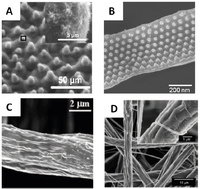 Polymers 05 00019 g004 200