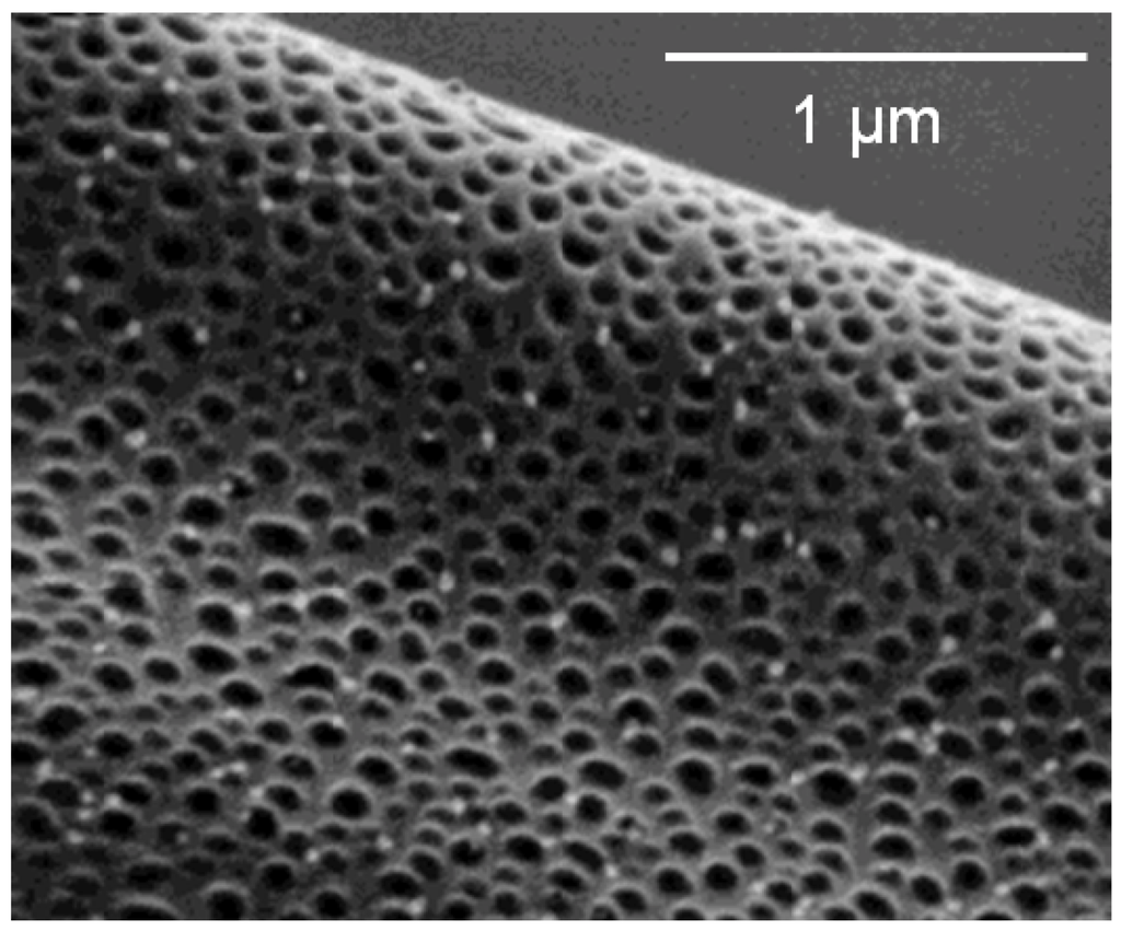 Polymers 05 00019 g008 1024