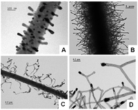 Polymers 05 00019 g009 200