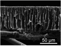 Polymers 05 00303 g009 200