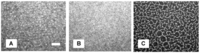 Polymers 05 00404 g001 200