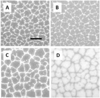 Polymers 05 00404 g003 200