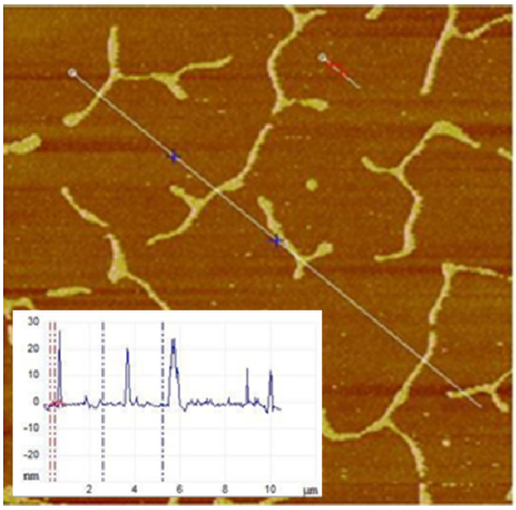 Polymers 05 00404 g005 1024