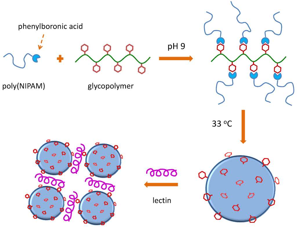 Polymers 05 00431 g022 1024