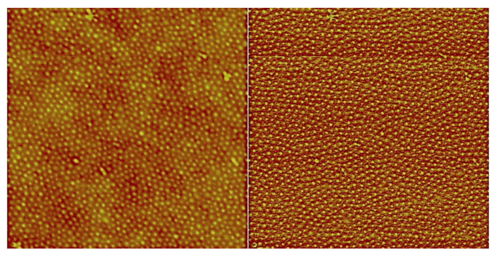 Polymers 05 00679 g003 1024