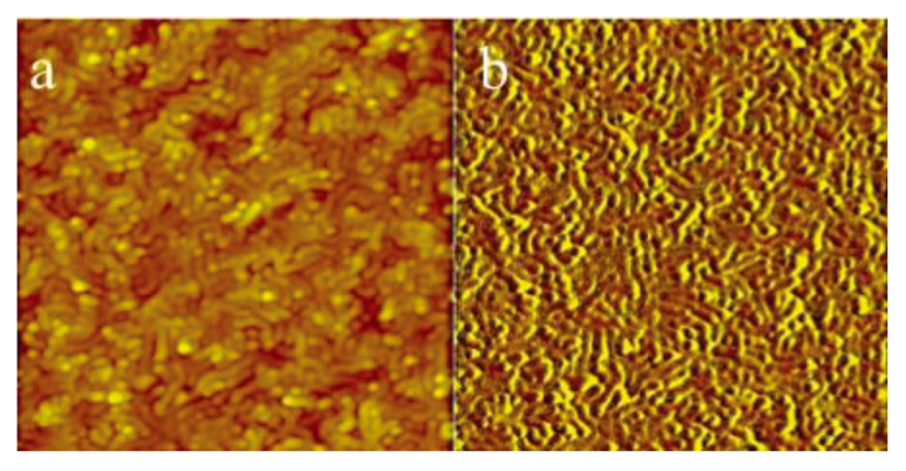 Polymers 05 00679 g005 1024