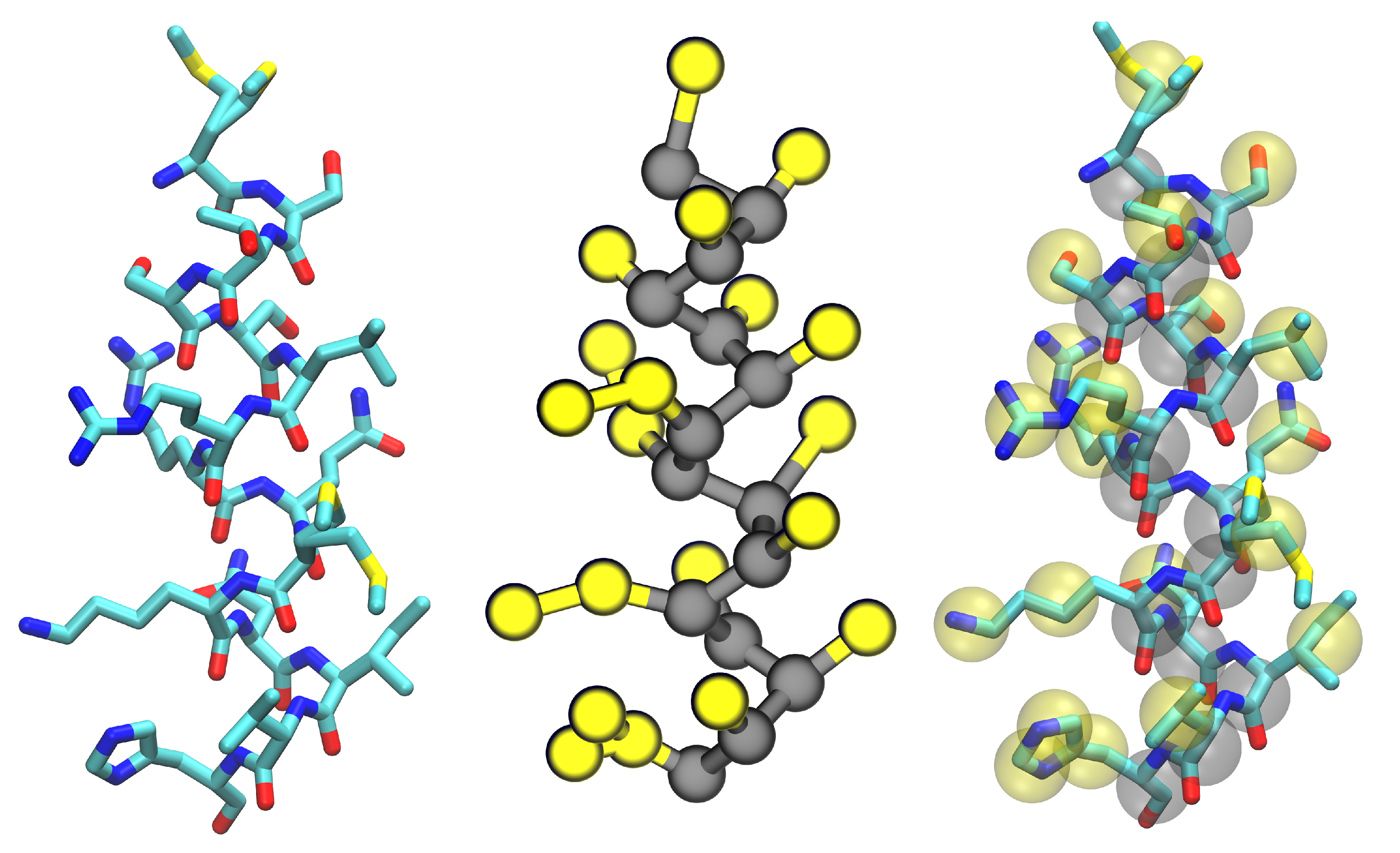 Polymers Free FullText CoarseGrained Models for ProteinCell