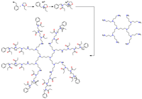 Polymers 05 00956 g011 200