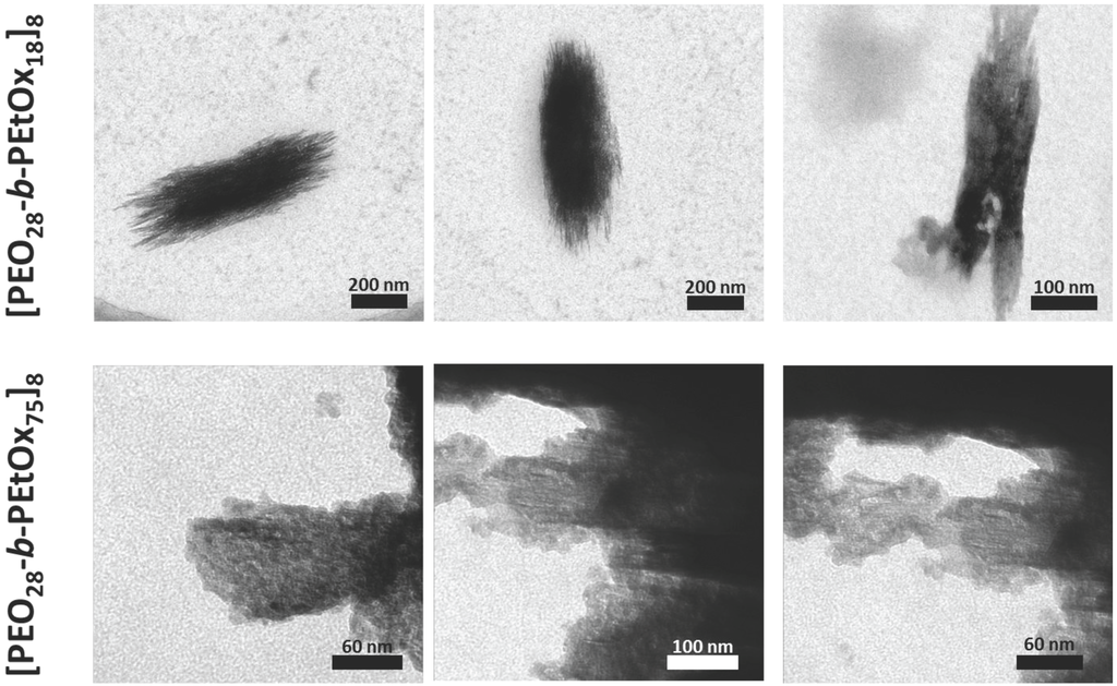 Polymers 05 01081 g007 1024