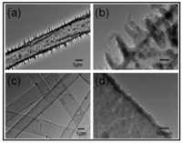 Polymers 05 01115 g021 200