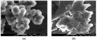 Polymers 05 01215 g004 200
