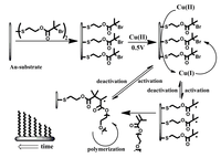 Polymers 05 01229 g005 200