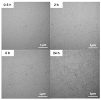 Polymers 05 01272 g019 200