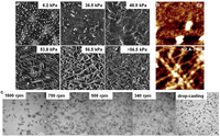 Polymers 05 01272 g023 200