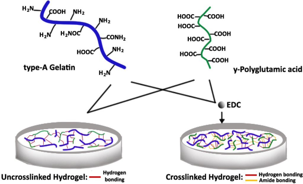 Polymers 06 00039 g001 1024