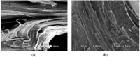 Polymers 06 00093 g008 200
