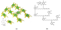 Polymers 06 00132 g004 200