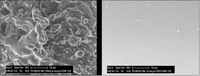 Polymers 06 00243 g005 200