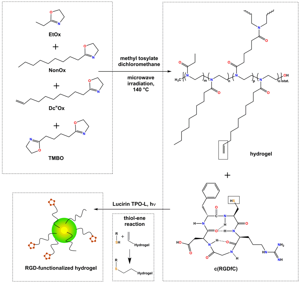 Polymers 06 00264 g006 1024