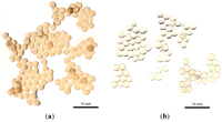 Polymers 06 00479 g003 200