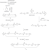 Polymers 06 00634 g001 200