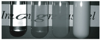 Polymers 06 00651 g001 200