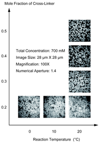 Polymers 06 00651 g005 200