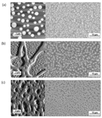 Polymers 06 00820 g006 200