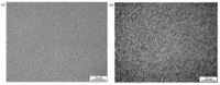 Polymers 06 00820 g007 200
