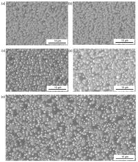Polymers 06 00820 g008 200