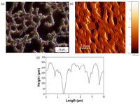 Polymers 06 00820 g015 200