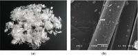 Polymers 06 00977 g001 200