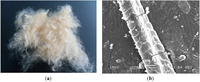 Polymers 06 00977 g002 200