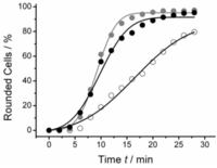 Polymers 06 01164 g001 200