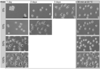 Polymers 06 01164 g003 200