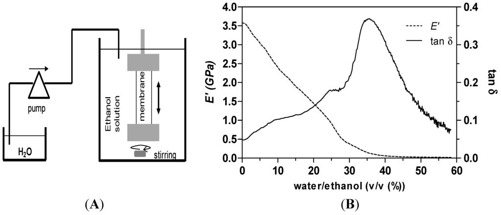 Polymers 06 01178 g003 1024