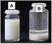 Polymers 06 01437 g001 200
