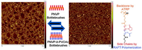 Polymers 06 01437 g003 200